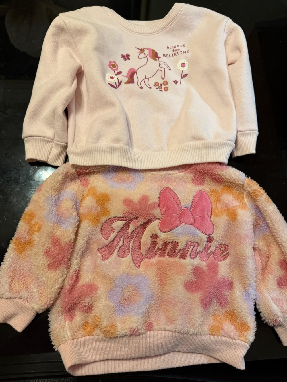Garanimals Pink Floral Minnie & Unicorn Pullover Set
